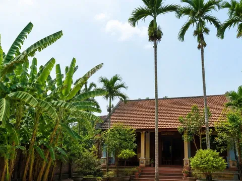 Vì sao người xưa dặn “chuối sau nhà, cau trước nhà”? Nếu đổi vị trí thì có thể ảnh hưởng gì xấu?