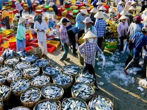 Người sành ăn mới biết khu chợ hải sản rẻ nhất nhì TP.HCM này, là "thiên đường ẩm thực" tồn tại hơn 40 năm