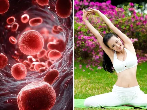 4 bộ phận trên cơ thể càng “mềm” càng sống lâu: Ai sở hữu đủ thật đáng mừng