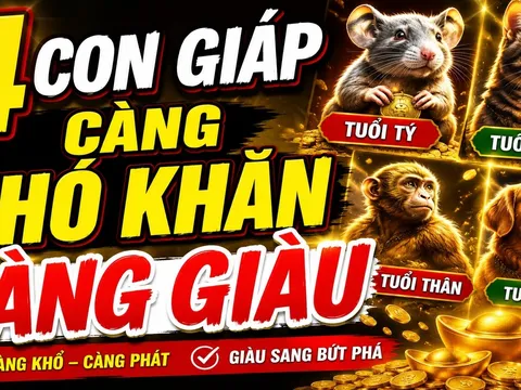 7 ngày tới, 4 con giáp thăng tiến mạnh, làm ăn vào cầu