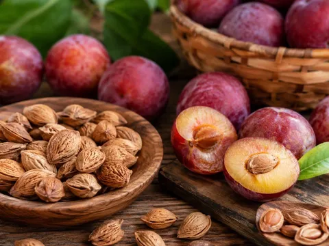 Công dụng bất ngờ của hạt mận với sức khoẻ