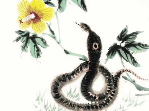 Tử vi tuần mới 11-17/5: Tỵ bội thu, Thìn có quý nhân dẫn lối