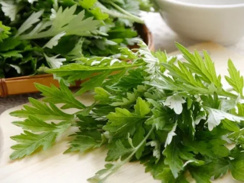 Xông mặt bằng ngải cứu đúng cách giúp da sạch sâu, giảm mụn và thư giãn hiệu quả
