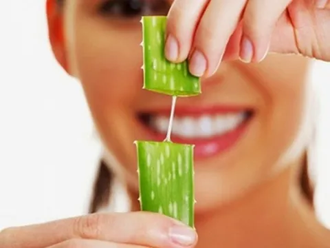 Gel lô hội không chỉ làm dịu da mà còn mang lại nhiều lợi ích cho tóc và da đầu