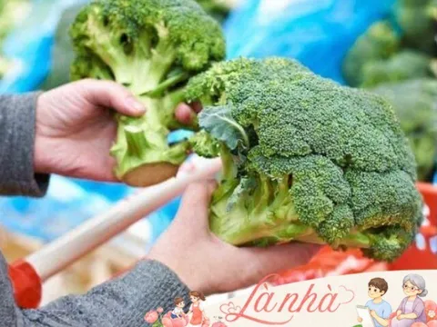 12 loại thực phẩm tốt cho cả nam và nữ, bà nội trợ nên bổ sung vào thực đơn hằng ngày để chăm sóc sức khỏe gia đình