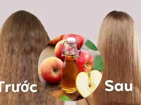 4 nguyên liệu tự nhiên giúp phục hồi tóc khô xơ, gãy rụng ngay tại nhà