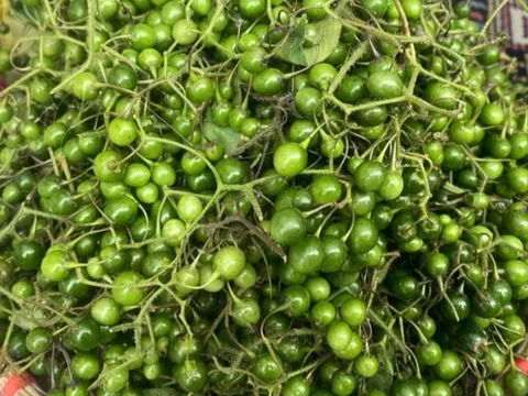 Loại quả xưa rụng đầy gốc không ai ngó ngàng, giờ thành đặc sản được dân thành phố săn lùng, 200.000 đồng/kg
