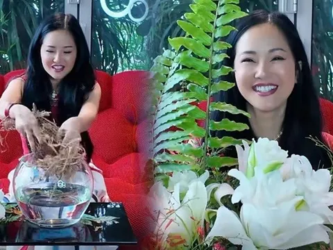 Diva Hồng Nhung bất ngờ công khai độc thân?