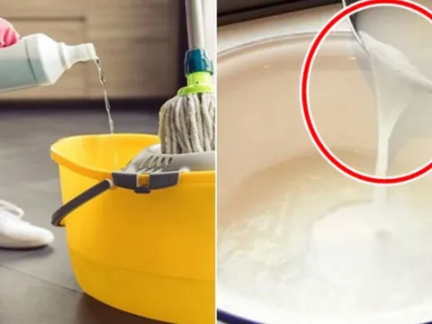 Đừng chỉ lau nhà với nước lã: Cho thêm thứ này vào sàn nhà sạch bong cả tuần không bám bụi