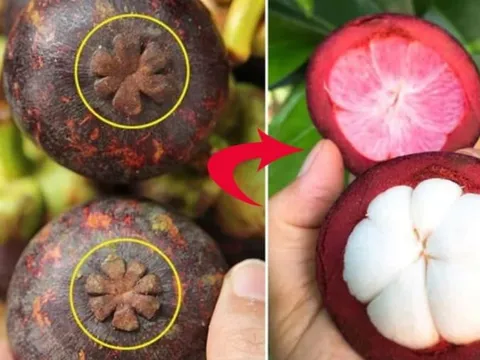 Mẹo chọn măng cụt căng mọng, 10 quả trúng 10