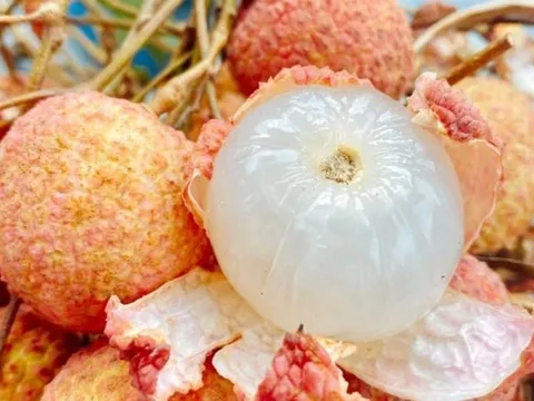 5 điều cấm kỵ khi ăn quả vải: Nhiều người Việt đang vô tình mắc phải mà không biết