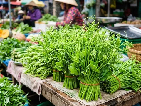 Bác sĩ Đông y gợi ý loại rau nên ăn mùa nóng: Ít calo, giàu khoáng chất, hợp cả người bị gút