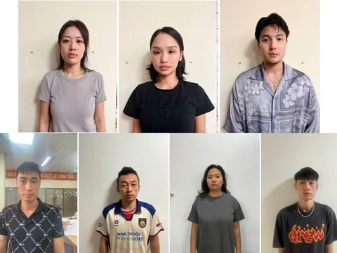 Miu Lê bị khởi tố, bắt tạm giam liên quan vụ ma túy ở Hải Phòng