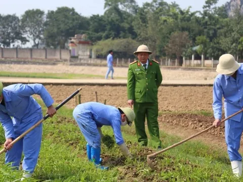 Tại sao cùng sử dụng ma túy nhưng có người đi tù, có người thì không?