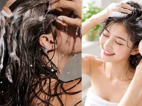 Gội đầu nên thoa dầu gội lên tóc hay lên da đầu? Nhiều người đang làm sai nên không sạch còn hại tóc