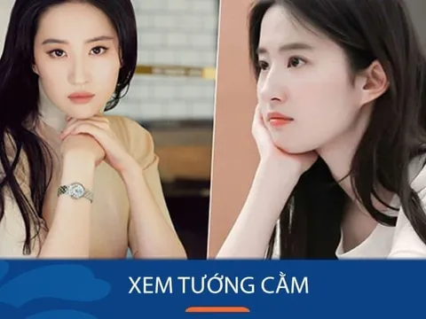 Người có tướng cằm này càng già càng giàu có
