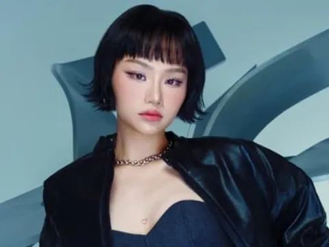Phía Miu Lê đưa ra thông báo nóng sau khi nữ ca sĩ bị khởi tố, bắt tạm giam