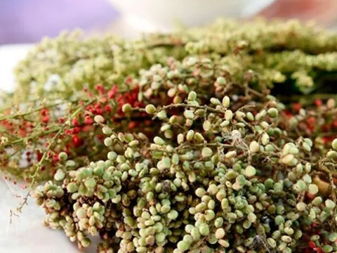 Loại quả xưa dành cho "người nghèo", nay thành đặc sản khoái khẩu trong nhà hàng, hương vị đặc biệt
