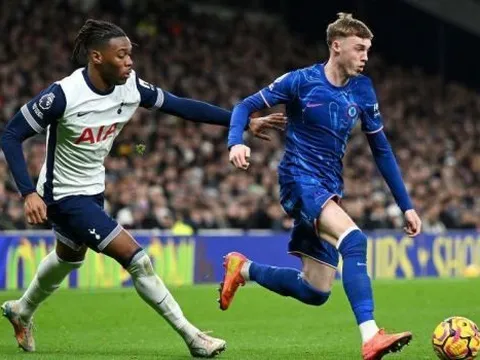 Soi trận Chelsea vs Tottenham: Gà trống quyết tâm giành điểm trụ hạng
