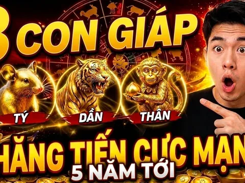 5 năm tới (2026-2030) 3 tuổi không thăng chức cũng chắc chắn tăng lương