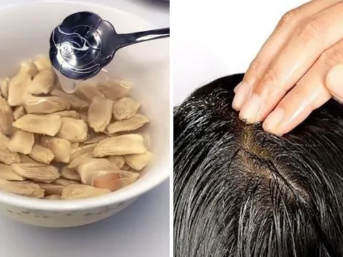 Dùng hạt bưởi gội đầu theo cách này: Tóc thưa mỏng đến mấy cũng mọc lên tua tủa, mượt mà, ít rụng