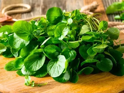 13 loại rau tốt nhất thế giới, là "kho vitamin tự nhiên", ngoài chợ Việt bán đầy với giá rẻ, từ 5.000 đồng là mua được