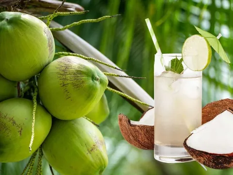Cách uống nước dừa làm tăng chức năng gan thận
