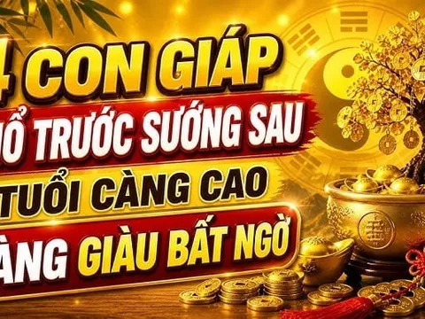 4 con giáp Khổ Trước Tiền Nối Bước đến sau, về già mới hưởng
