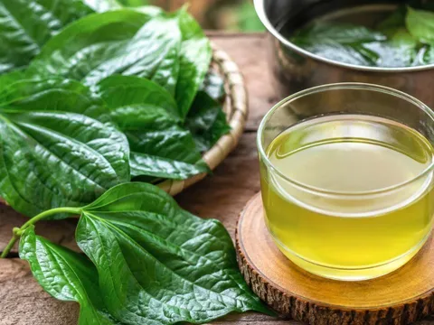 Cách nấu nước lá lốt để mang lại nhiều công dụng cho sức khoẻ
