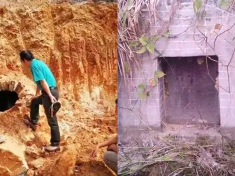 Khai quật mộ cổ 500 năm ở Tứ Xuyên, chuyên gia bất ngờ phát hiện sinh vật sống bí ẩn bên trong