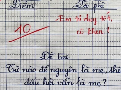 Một từ có nghĩa là “mẹ”, thêm dấu hỏi vẫn là “mẹ”: Nhiều người đoán sai