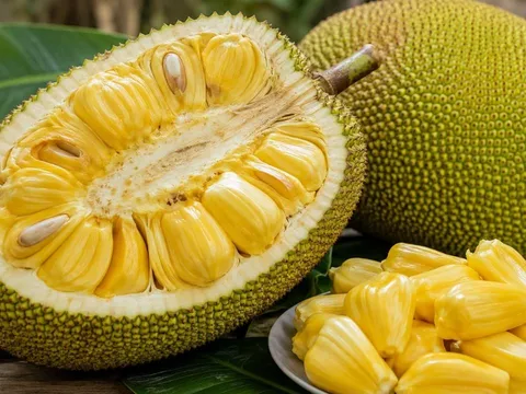 Mua mít đừng chọn theo cảm tính: 5 dấu hiệu nhận biết quả mít chín vàng thơm ngọt