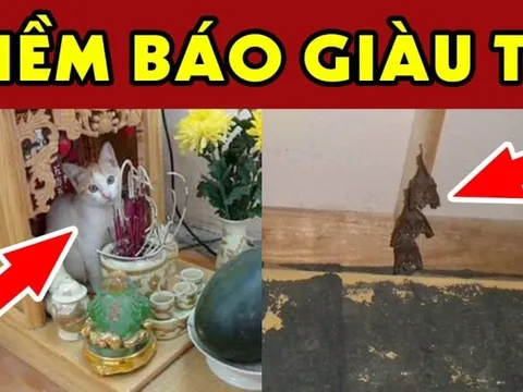 4 con vật vào nhà mang tới may mắn giàu có cho gia đình bạn: Đừng dại đuổi đi