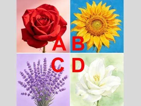 Trắc nghiệm: Vận may tình duyên gần đây của bạn ra sao? Chọn một bông hoa là rõ ngay