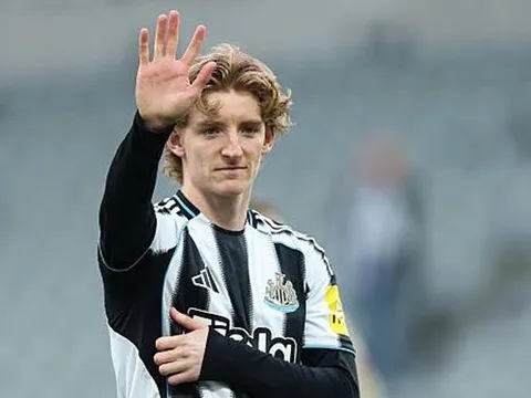 PSG nhắm Gordon thay Barcola trước sự chèo kéo từ Anh