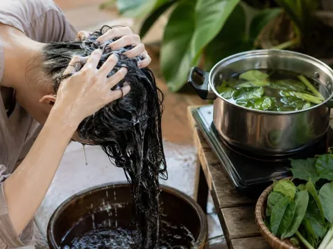 5 loại lá quen thuộc dùng gội đầu giúp tóc mượt không khô, giảm rụng