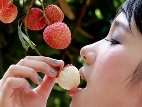5 nhóm người tuyệt đối không nên ăn vải mùa hè, nhiều người vẫn chủ quan