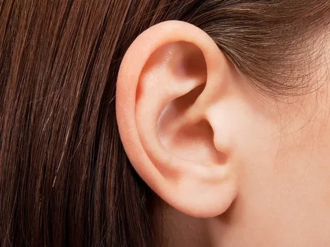 Người có tướng tai này tài ba xuất chúng càng già càng giàu có