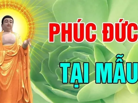 3 kiểu cha mẹ để ại phúo báo cho con: Đó là kiểu nào?