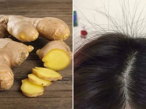 Cách gội đầu bằng gừng tươi trị rụng tóc, tóc con mọc lên tua tủa