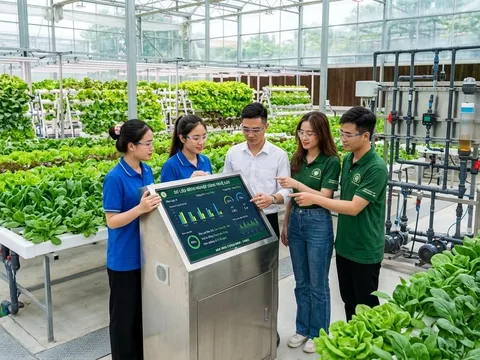 5 ngành học đang “khát” nhân lực tại Việt Nam: Ra trường dễ có việc, thu nhập nhiều người mơ ước