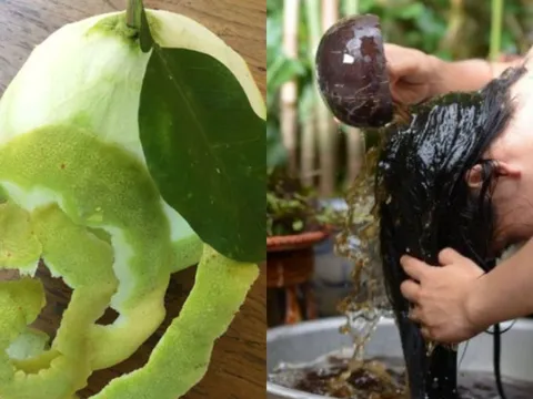 Cách gội đầu bằng vỏ bưởi trị rụng tóc, kích thích tóc mọc nhanh lại suôn mượt, sạch gàu