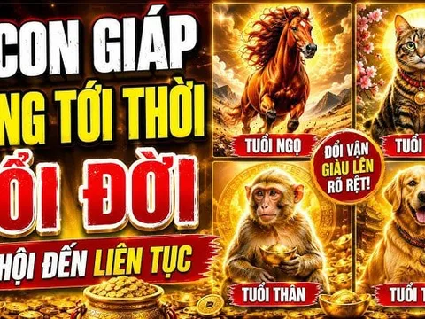 4 con giáp tới thời Đổi Đời Liên Tục, 2 năm tới tiền về khó cản