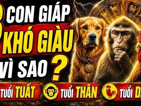 3 con giáp nặng gánh Tiền Tài, 1 tuổi ung dung Lộc tự đến