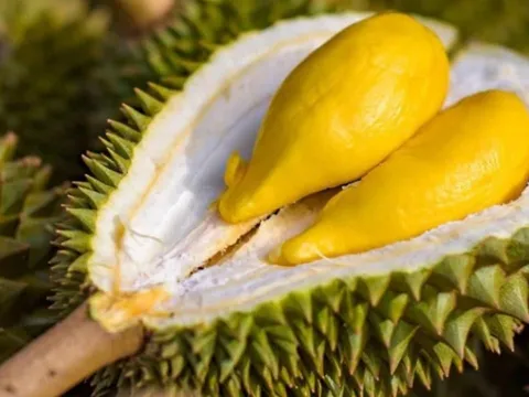 Người mắc 1 trong 5 bệnh này tuyệt đối không nên ăn sầu riêng