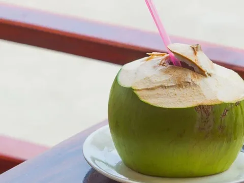 Vì sao không nên uống nước dừa ngay sau khi đi nắng về?