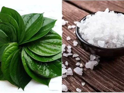 8 công dụng ít người biết từ lá trầu không: Điều thứ 2 ai cũng muốn thử một lần