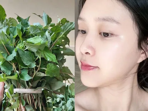 Cách dùng rau diếp cá thu nhỏ lỗ chân lông, da trắng hồng, mờ thâm