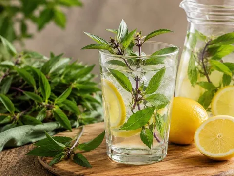 Cách giải độc gan bằng nước húng quế kết hợp chanh tươi, dùng sao cho đúng?