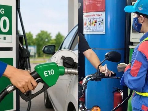 Hầu hết xe ở Việt Nam dùng được xăng E10, còn xe không tương thích thì làm sao?